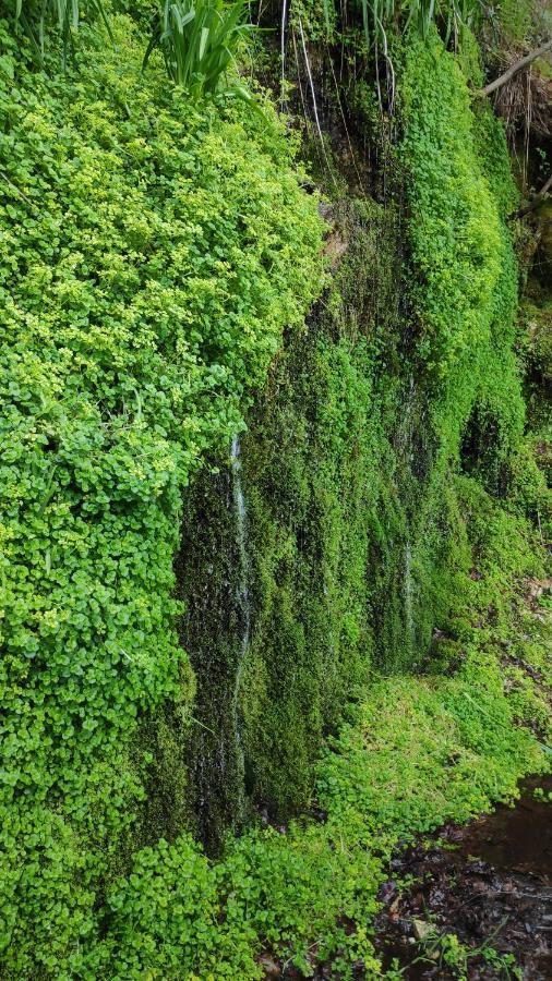 Vila Pe Na Aldeia Outeiro  Exteriér fotografie