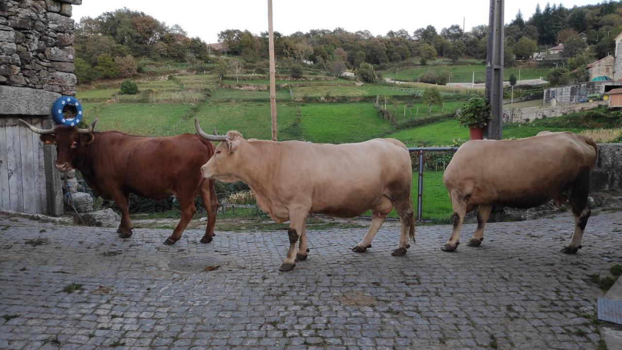 Vila Pe Na Aldeia Outeiro  Exteriér fotografie